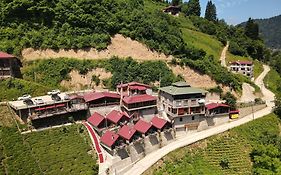 Seyr-i Cennet Dag Evleri